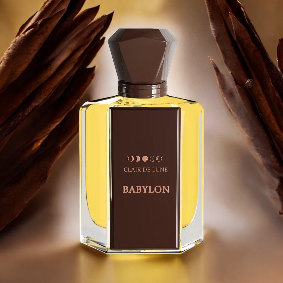 Close-up of a fragrance sample of Babylon, highlighting its rich woody, chocolaty, and amber notes, creating a bold and elegant scent experience